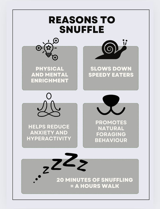 Reasons to snuffle