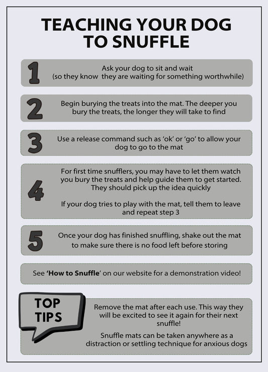 Teaching your dog to snuffle